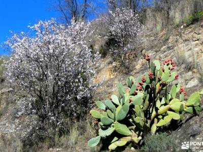 Camino de Hierro-Pozo de los Humos; hoces rio duraton viajes en septiembre madrid actividades parque